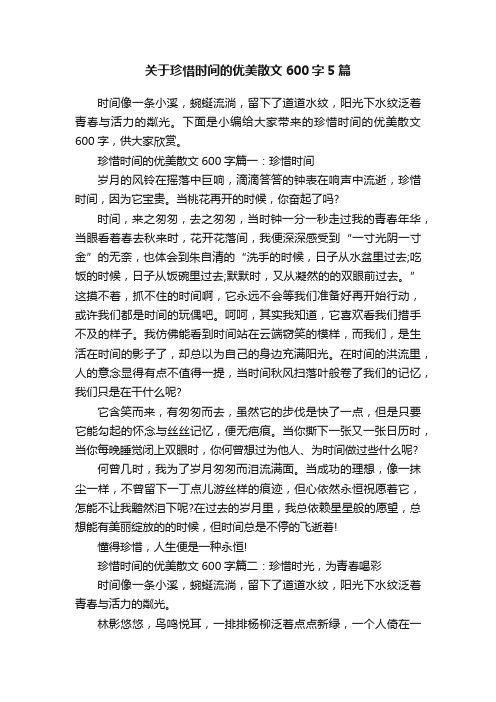 关于珍惜时间的优美散文600字5篇