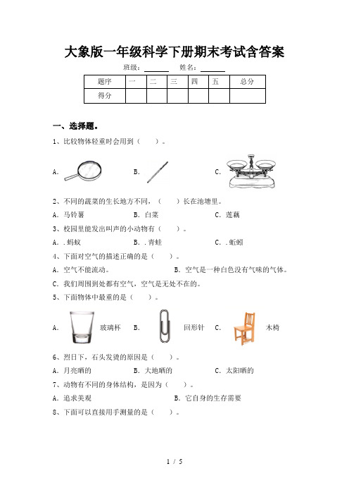 大象版一年级科学下册期末考试含答案