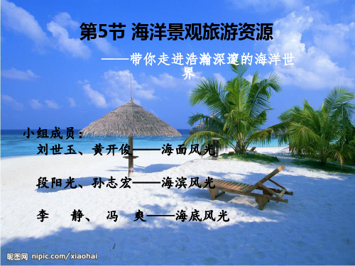 海洋景观旅游资源解析