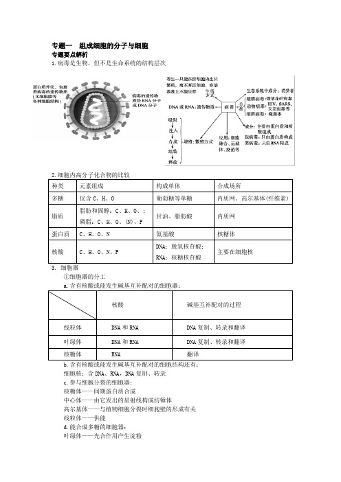 细胞的分子组成与细胞专题要点解析