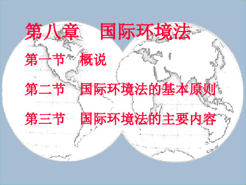 国际环境法概述(PPT 41页)