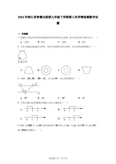 2024年浙江省智睿达联盟九年级下学期第三次学情检测数学试题