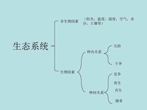 北师大版生物八年级下册 8.23.3 生态系统的结构和功能 课件 