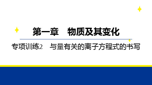 2025年高考化学备考教案(新教材)第一章 专项训练2 与量有关的离子方程式的书写