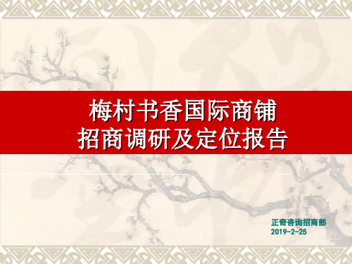 2019年2月25日无锡梅村书香国际商铺招商调研及定位报告