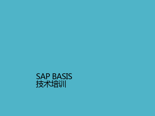 sap-basis培训