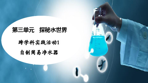 第三单元+跨学科实践活动1+自制简易净水器-2024-2025学年九年级化学鲁教版(2024)上册