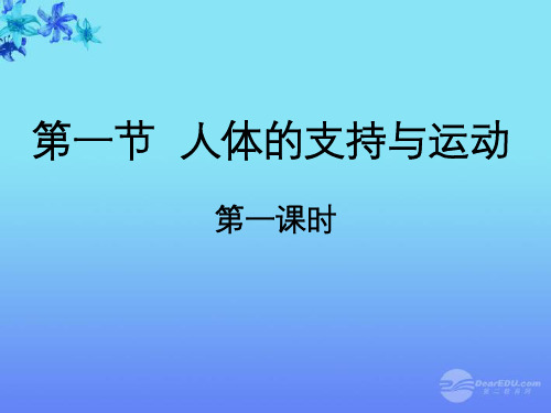 江苏省无锡市东林中学八年级生物《人体的支持与运动》课件 人教新课标版