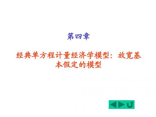 计量经济学 4放宽基本假定的模型