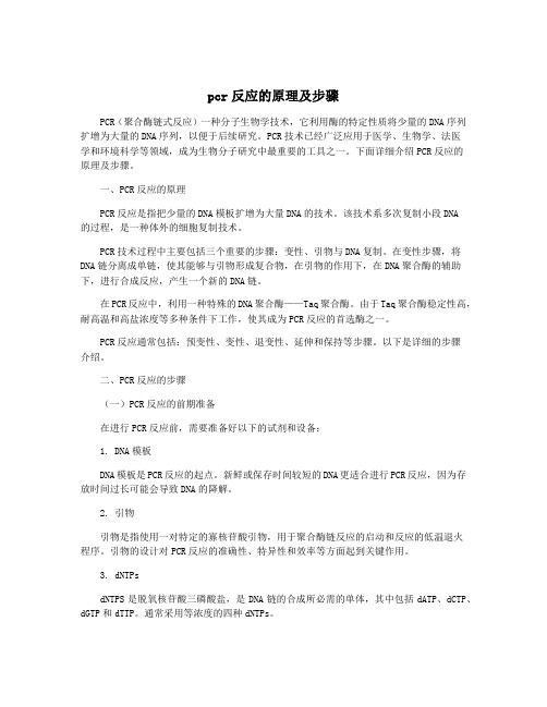 pcr反应的原理及步骤