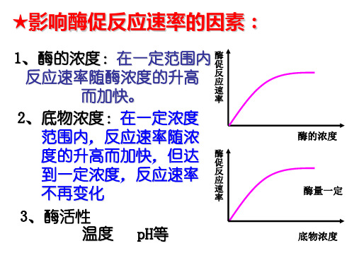 影响酶促反应速率的因素