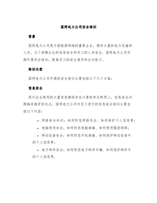 国网电力公司安全培训