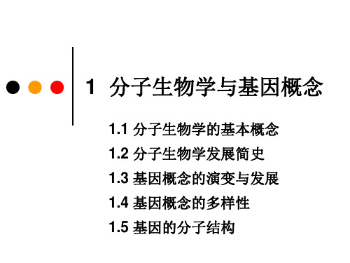 1 基因概念的演变与发展