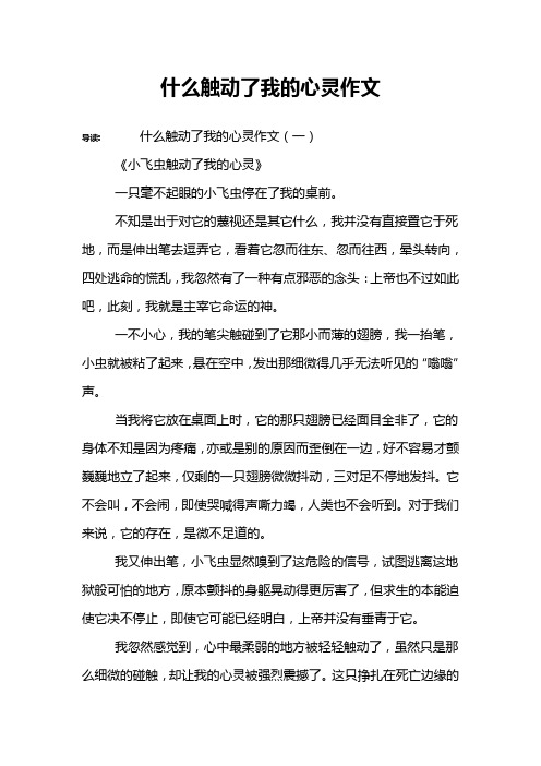 什么触动了我的心灵作文