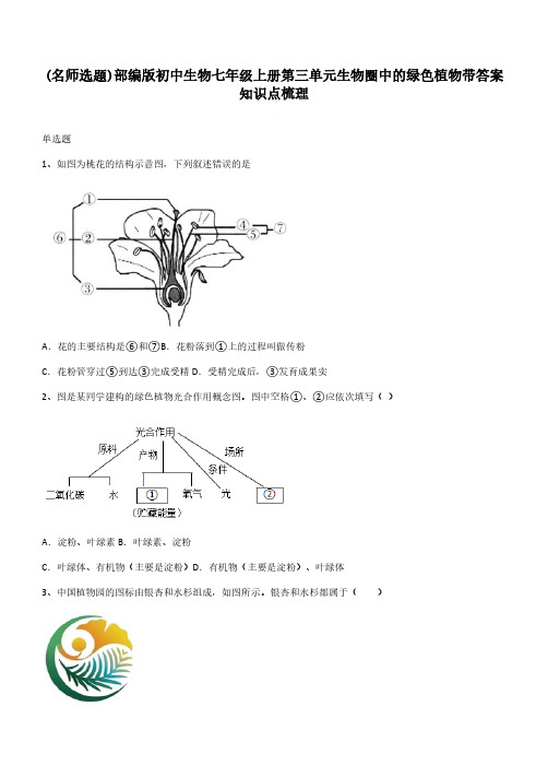 部编版初中生物七年级上册第三单元生物圈中的绿色植物带答案知识点梳理