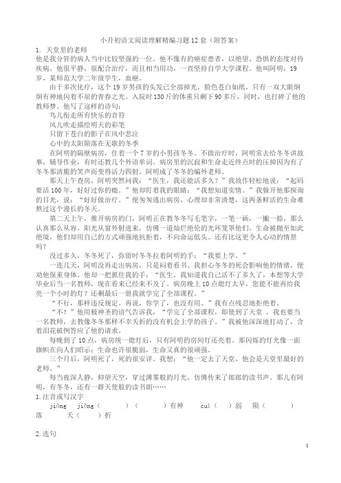 12套小升初语文阅读理解精编习题(含答案)