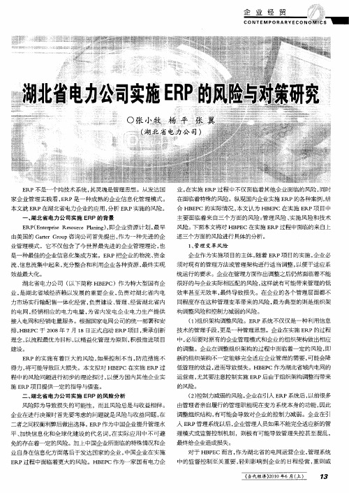 湖北省电力公司实施ERP的风险与对策研究