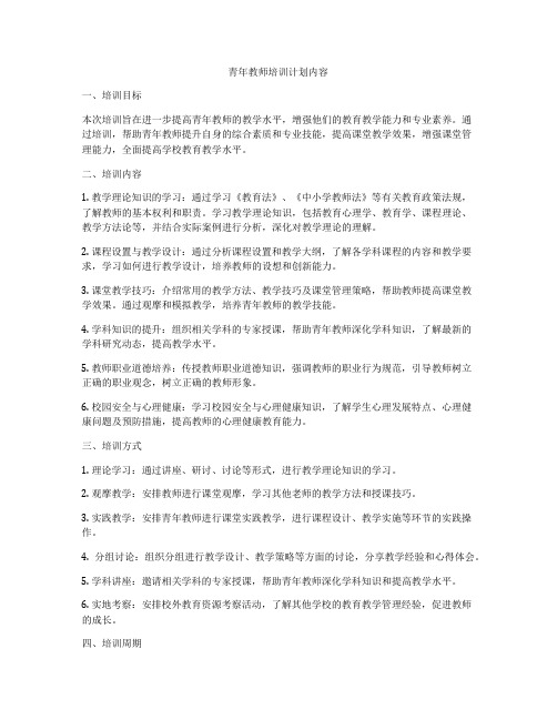 青年教师培训计划内容