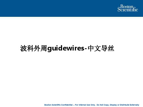 波科外周guidewires-中文导丝