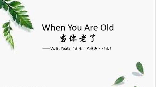 when you are old 叶芝经典：当你老了