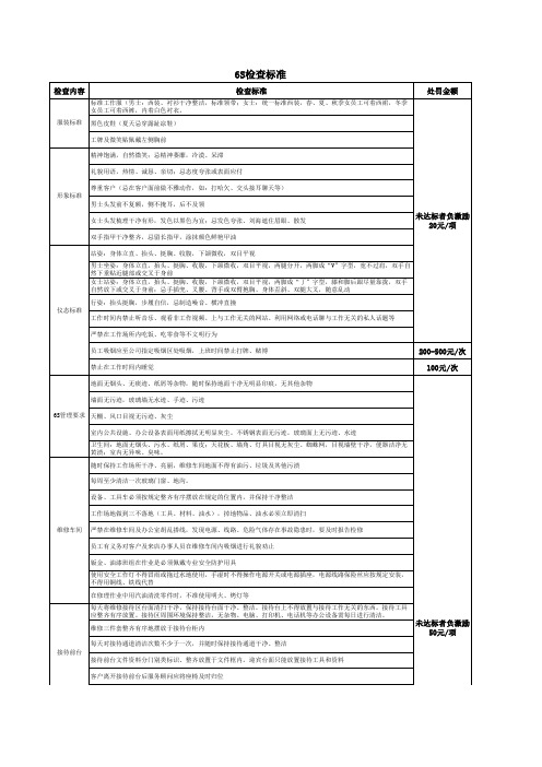 6S检查标准表