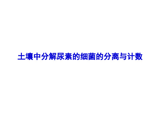 微生物的分离、培养和菌种保藏