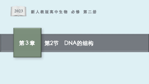 第3章 第2节 《DNA的结构》课件ppt