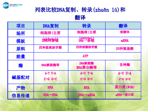 高考生物大一轮复习 知识点 列表比较DNA复制、转录和翻译课件