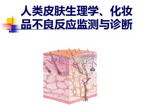 人类皮肤生理与化妆品不良反应监测诊断