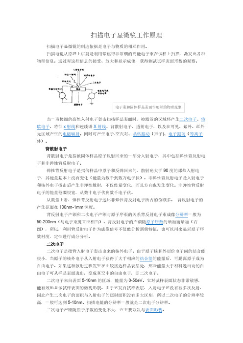 扫描电镜工作原理