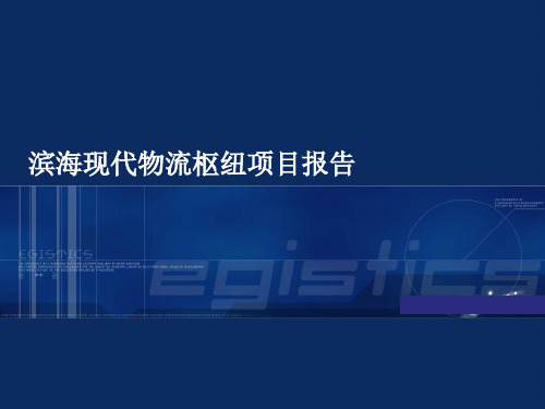 滨海现代物流枢纽项目报告