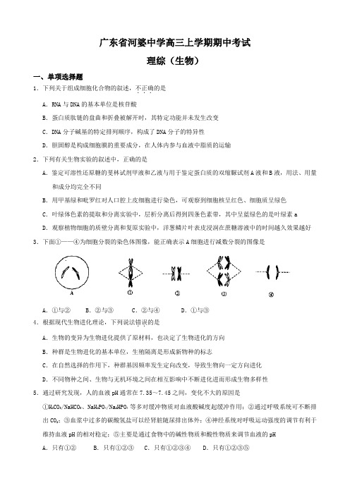 广东省河婆中学高三上学期期中考试(理综)(生物).doc