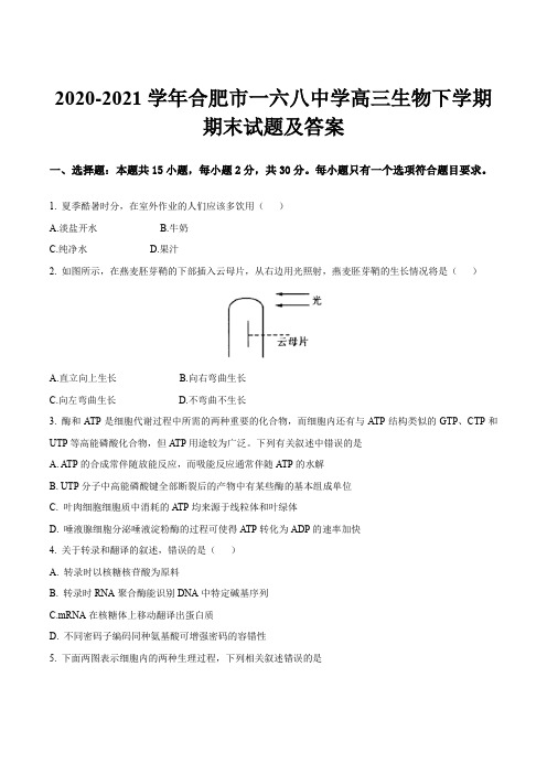 2020-2021学年合肥市一六八中学高三生物下学期期末试题及答案