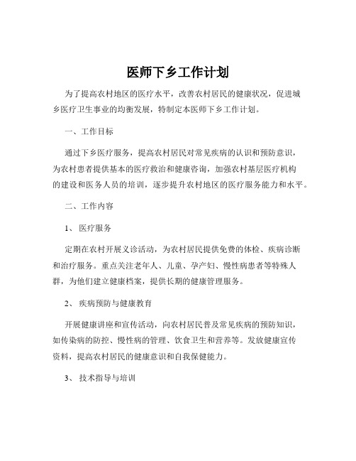 医师下乡工作计划