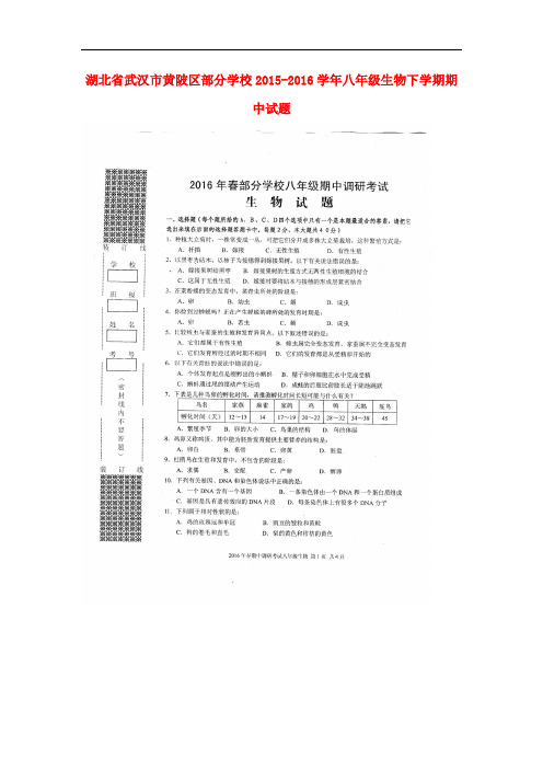 湖北省武汉市黄陂区部分学校八年级生物下学期期中试题