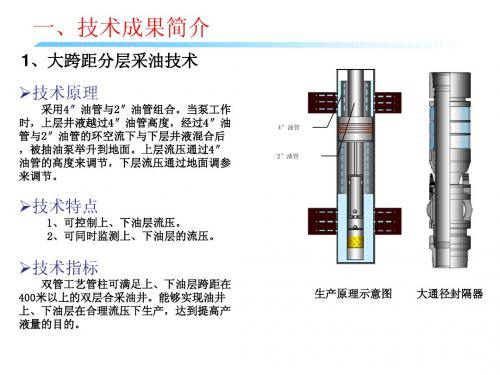 采油工艺新技术装备简介