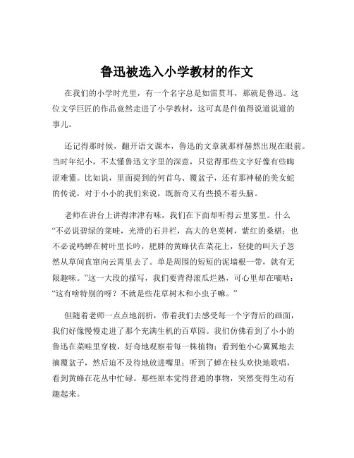 鲁迅被选入小学教材的作文