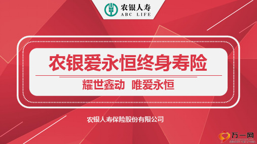 农银爱永恒终身寿险销售逻辑案例演示31