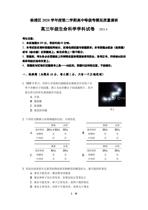 上海市杨浦区 2020 学年度第二学期高中等级考模拟质量调研高三年级生命科学卷