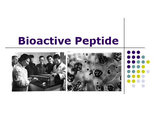 生物活性多肽