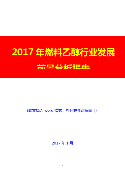 2017年燃料乙醇行业发展前景分析报告3