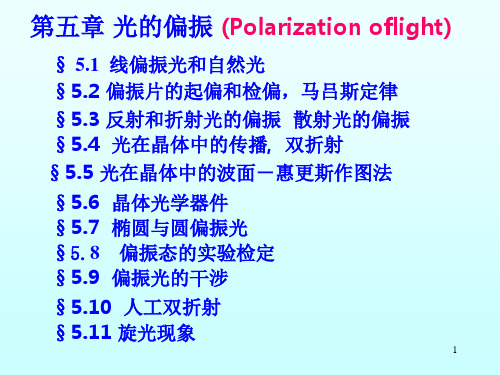 物理光学第五章-光偏振