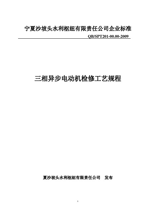 200910电动机检修规程9解析