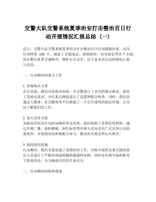 交警大队交警系统夏季治安打击整治百日行动开展情况汇报总结 (一)