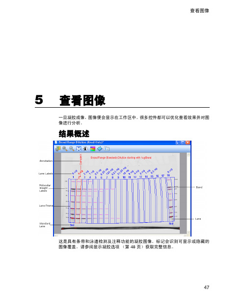 image lab软件中文说明