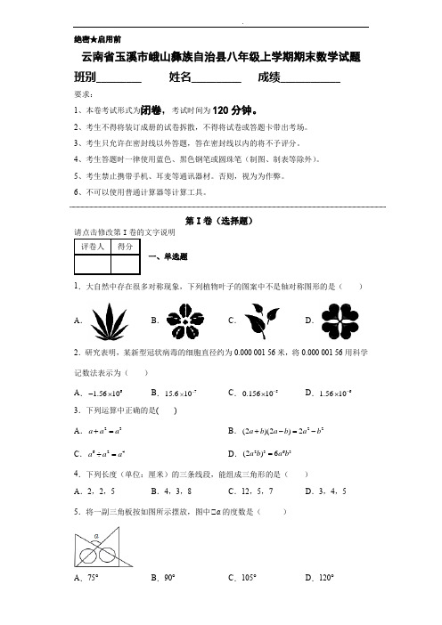 云南省玉溪市峨山彝族自治县八年级上学期期末数学试题(含答案)