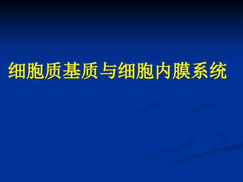 第七讲 细胞质基质和内膜系统