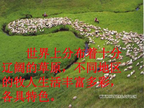 第二课时 草原风情