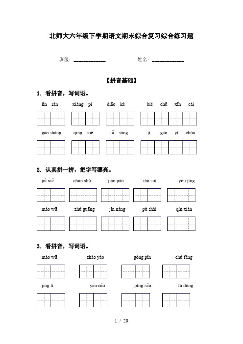 北师大六年级下学期语文期末综合复习综合练习题