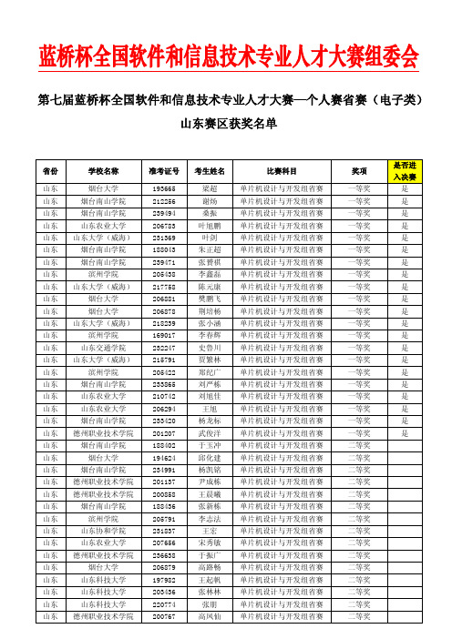 电子类-山东赛区获奖名单